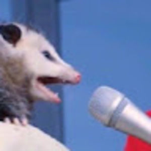 Meet your Posher, Chirston